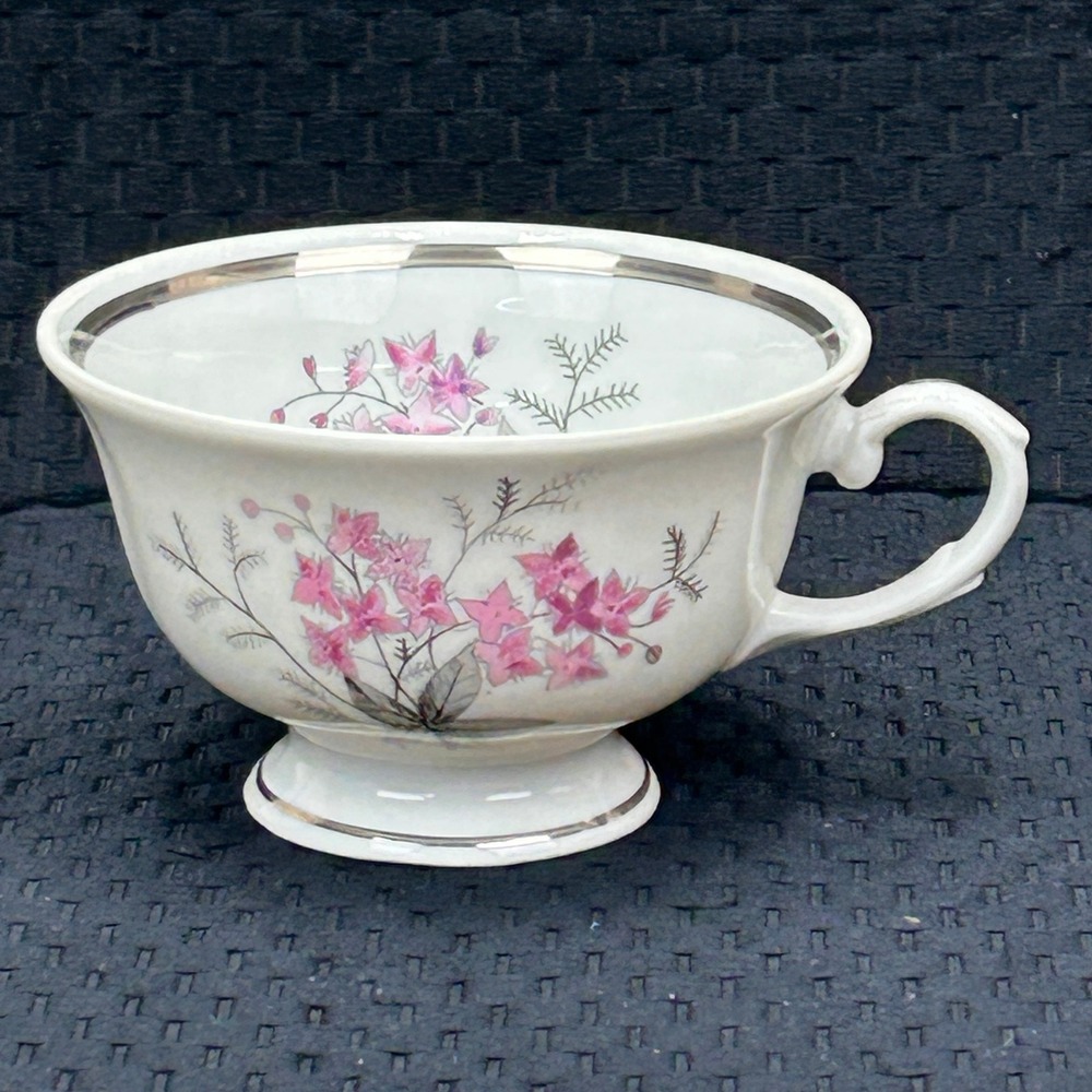 Karolina Poland China‎ Teacup Pink Floral Silver Trim Vintage Porcelain 3879 5